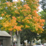 Take In for Well-Being